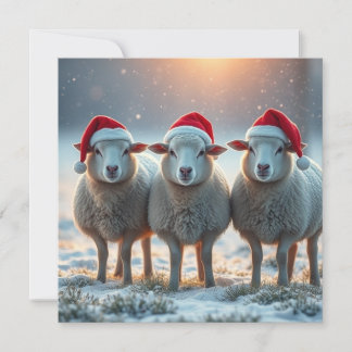 Jul får julkort