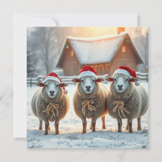 Jul får julkort