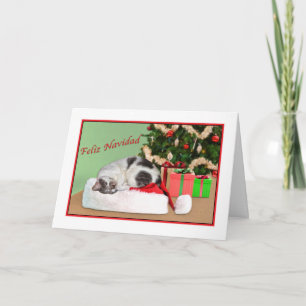 Jul Feliz Navidad, spanjor som sovar katten Helgkort