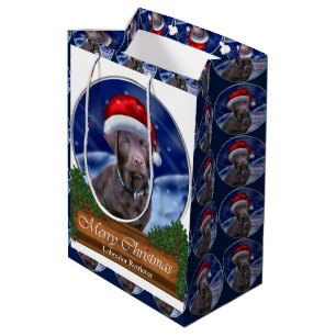 Jul för chokladLabrador Retriever