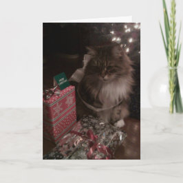 Jul för en Maine Coon Helgkort