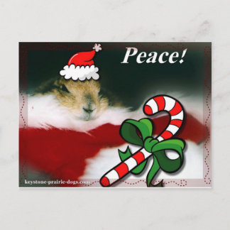 Jul för Keystonepräriehund Helg Vykort