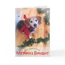 Jul för pilbåge för glad och ljus Beaglehund röd