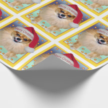 Jul för Pomeranian Marley rolig dåligaSanta hund