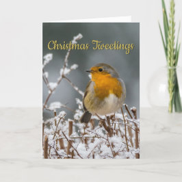 Jul för vinterRobin vit Helgkort