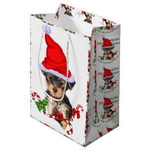 Jul för Yorkshire Terrier