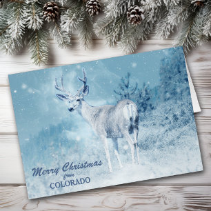 Jul från Colorado Hjort Julkort Hälsningskort