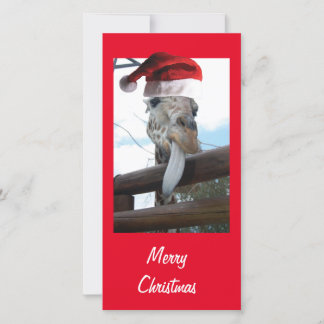 Jul Giraffe med Jultomten Hat Kort