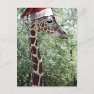 Jul Giraffe med Santa Hat Helg Vykort