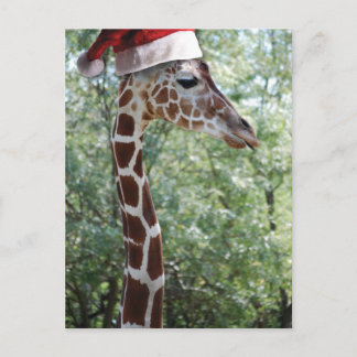Jul Giraffe med Santa Hat Helg Vykort