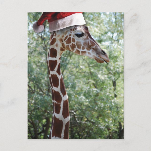 Jul Giraffe med Santa Hat Helg Vykort (Framsida)