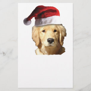 Jul Golden Retriever Brevpapper