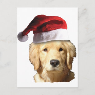 Jul Golden Retriever Helg Vykort
