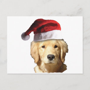 Jul Golden Retriever Helg Vykort