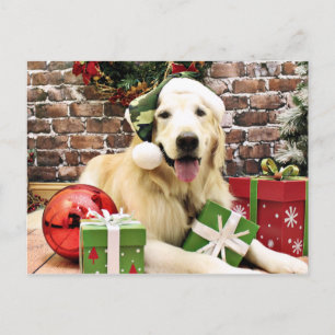 Jul - Golden Retriever - Hudson Helg Vykort