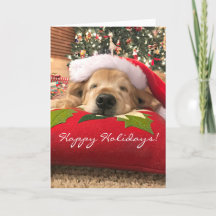 Jul Golden Retriever Hund Asomer under Träd