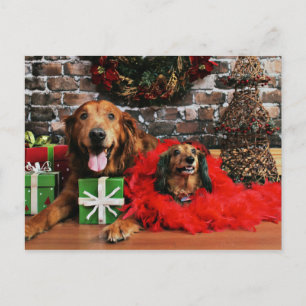 Jul - Golden Retriever Max - Doxie - Chloe Helg Vykort