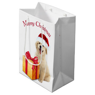 Jul Golden Retriever med Gift