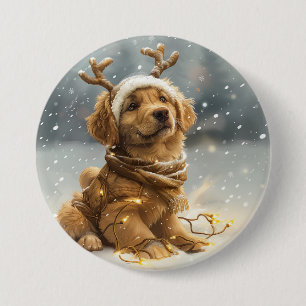 Jul Golden Retriever Puppy Knapp