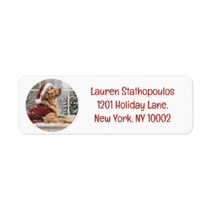 Jul Golden Retriever Santa Hund Returadress Etikett