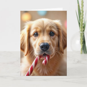 Jul Golden Retriever Valp och en sockerrör Kort