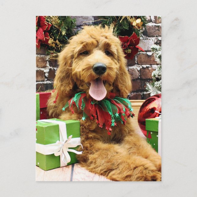 Jul - GoldenDoodle - Claire Helg Vykort (Framsida)