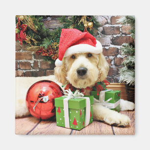 Jul - GoldenDoodle - Gus Magnet