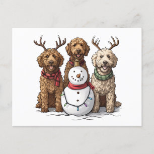 Jul Goldendoodle Hundar Vykort