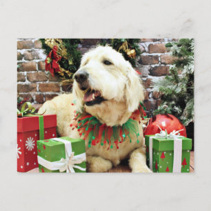 Jul - GoldenDoodle - Lacey Helg Vykort
