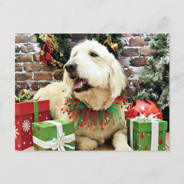 Jul - GoldenDoodle - Lacey Helg Vykort (Framsida)