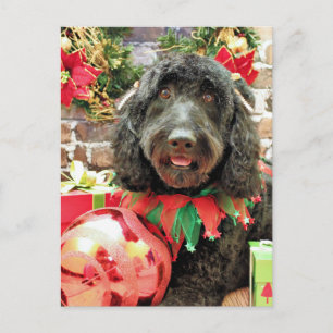 Jul - GoldenDoodle - Pearl Sylt Helg Vykort