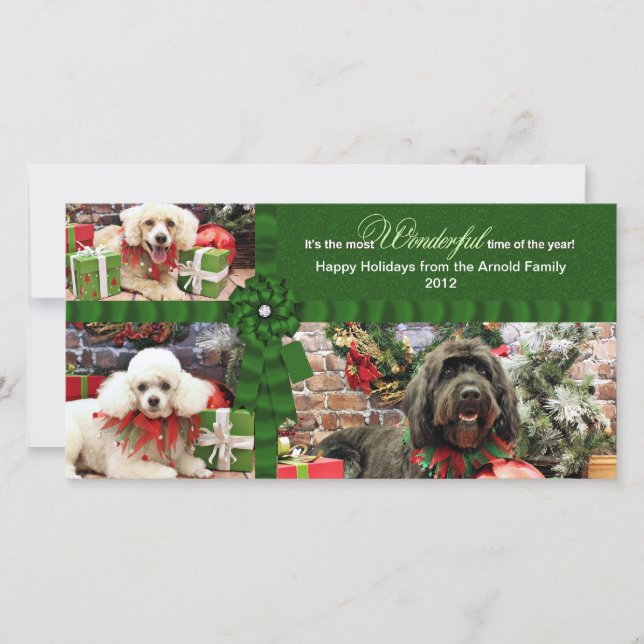 Jul - GoldenDoodle Pudel Cockapoo - Arnold Julkort (Framsida)
