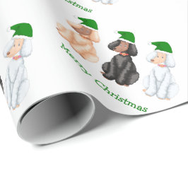 Jul Goldendoodles  Presentpapper