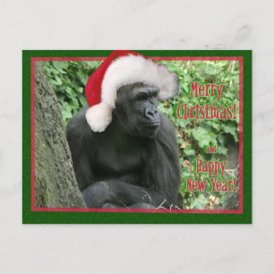Jul Gorilla Helg Vykort