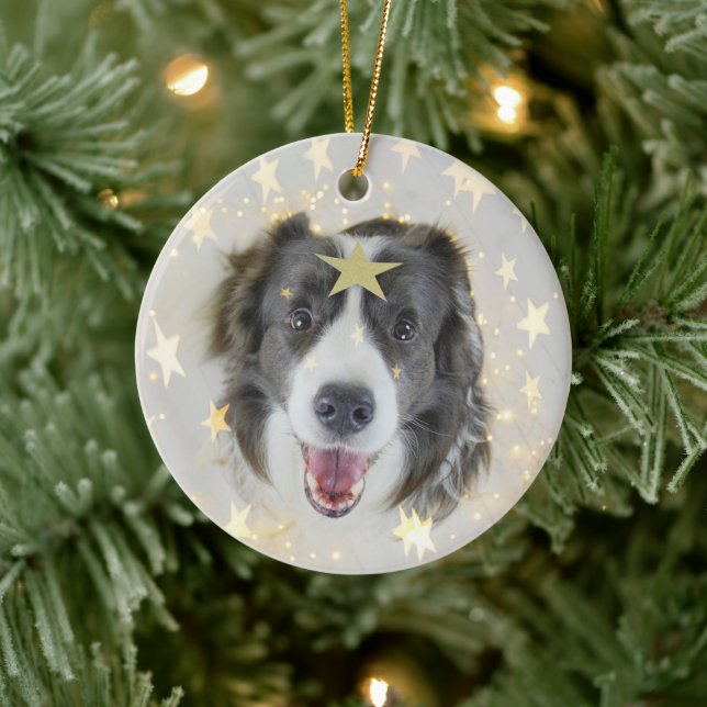 Jul Gräns Collie hund med stjärnor och ljus Julgransprydnad Keramik (Träd)