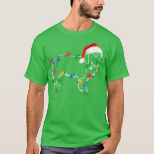 Jul Gräns Collie JULAFTON Ljus Santa Hat Funn T Shirt