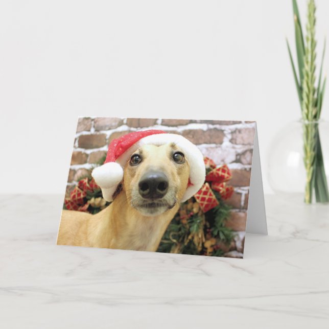 Jul - Greyhound - Pena Helgkort (Framsida)