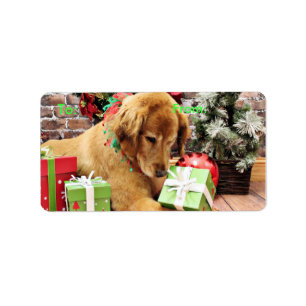 Jul - guld- Retriever - Addison Adressetikett