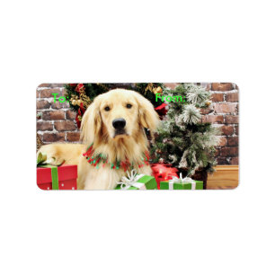 Jul - guld- Retriever - Ozzy Adressetikett