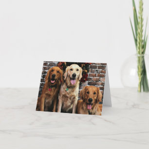 Jul - guld- Retriever - packare Bella Darby Helgkort