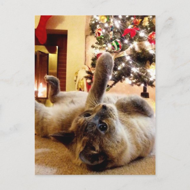 Jul Hälsning av Bubbles katt Vykort (Framsida)