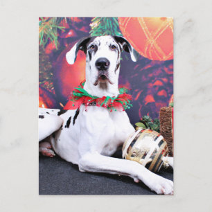 Jul - Harlequin Great dane - Baron Helg Vykort