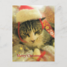 Jul