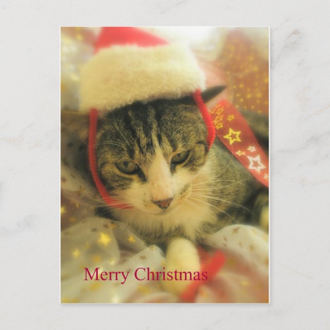 Jul Helg Vykort (Framsida)