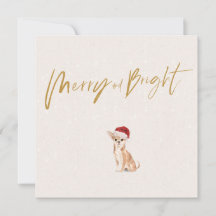 Jul Helgdag Chihuahua Hund Merry Hälsning