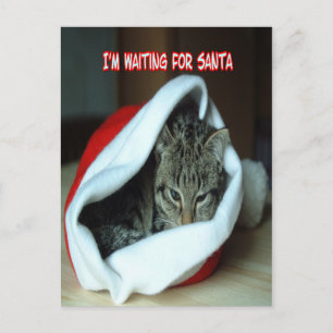 Jul Helgdag kitten Vykort