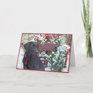 Jul/Helgdag-kort ~ Labrador Helgkort