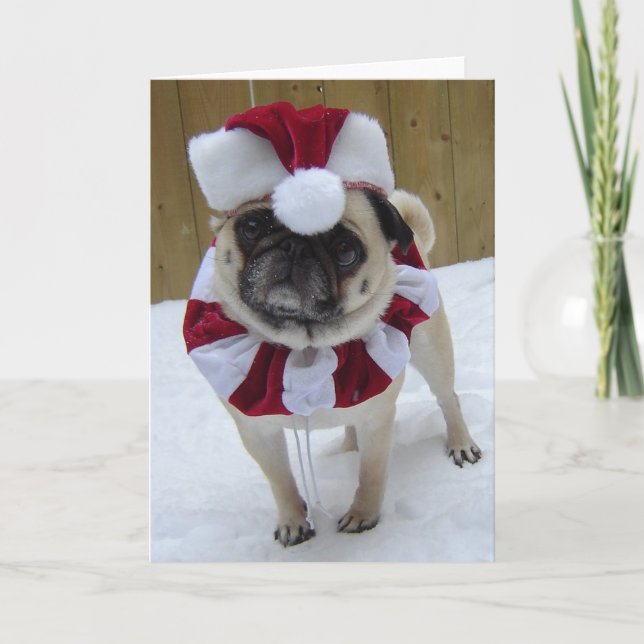 Jul Helgdag Pug i Snö Helgkort (Framsida)