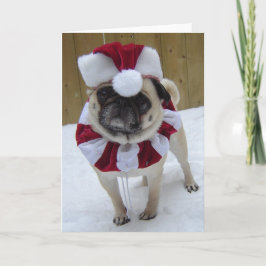 Jul Helgdag Pug i Snö Helgkort