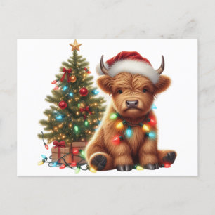 Jul Highland Cow Vykort